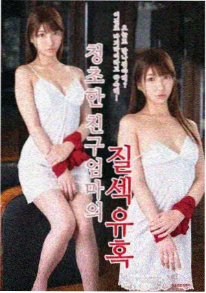 去有风的地方 免费观看电视剧百度